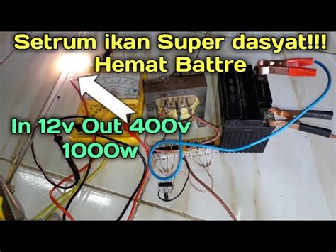 Cara Membuat Ikan Elektrik Pingsan dengan Mudah dan Cepat